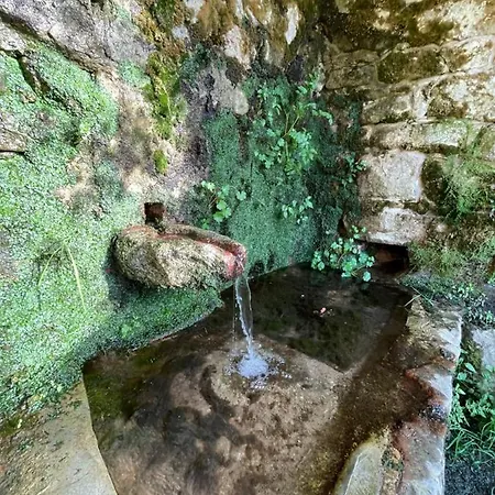 Casa Arena Authentique Maison De Village Avec Piscine Au Coeur De L'alta Rocca - Feriehus