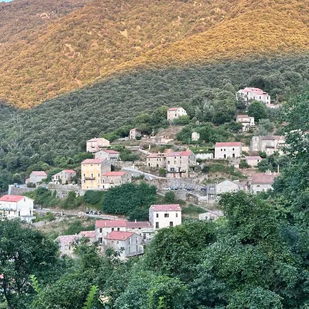 Casa Arena Authentique Maison De Village Avec Piscine Au Coeur De L'alta Rocca - Zoza