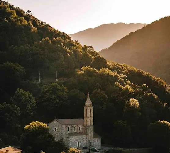 Casa Arena Authentique Maison De Village Avec Piscine Au Coeur De L'alta Rocca - * Zoza