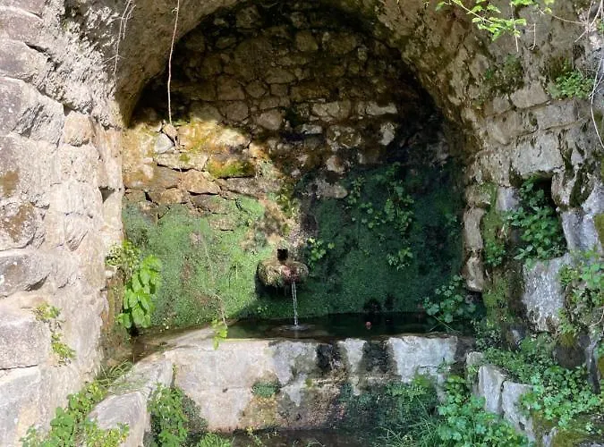 Casa Arena Authentique Maison De Village Avec Piscine Au Coeur De L'alta Rocca - בית נופש *