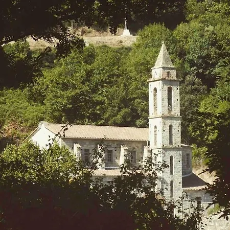 Casa Arena Authentique Maison De Village Avec Piscine Au Coeur De L'alta Rocca - * Zoza