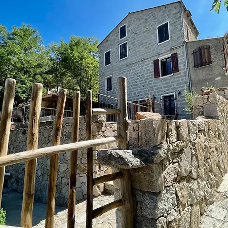 Casa Arena Authentique Maison De Village Avec Piscine Au Coeur De L'alta Rocca -