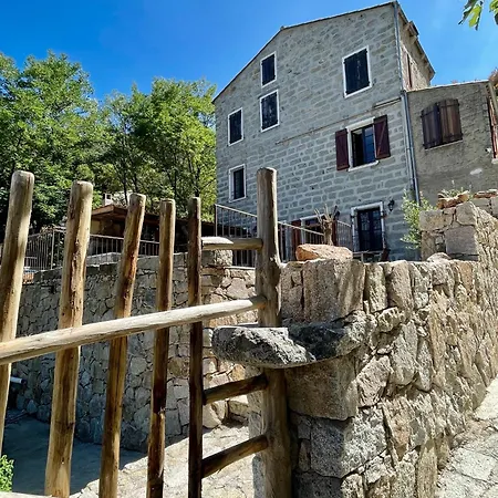 Casa Arena Authentique Maison De Village Avec Piscine Au Coeur De L'alta Rocca -
