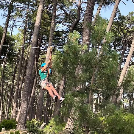 Casa Arena Authentique Maison De Village Avec Piscine Au Coeur De L'alta Rocca - בית נופש *