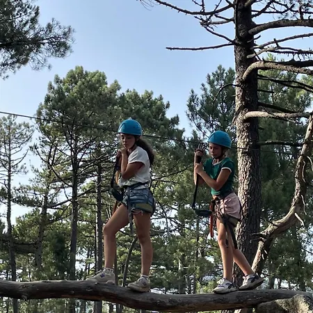 Casa Arena Authentique Maison De Village Avec Piscine Au Coeur De L'alta Rocca - Zoza