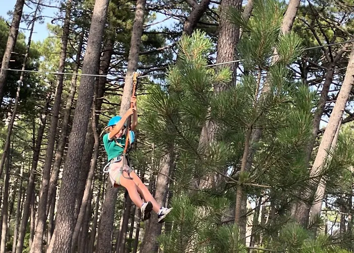 Casa Arena Authentique Maison De Village Avec Piscine Au Coeur De L'alta Rocca - Prázdninový dům *