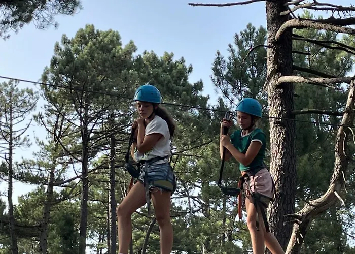 Casa Arena Authentique Maison De Village Avec Piscine Au Coeur De L'alta Rocca - Zoza