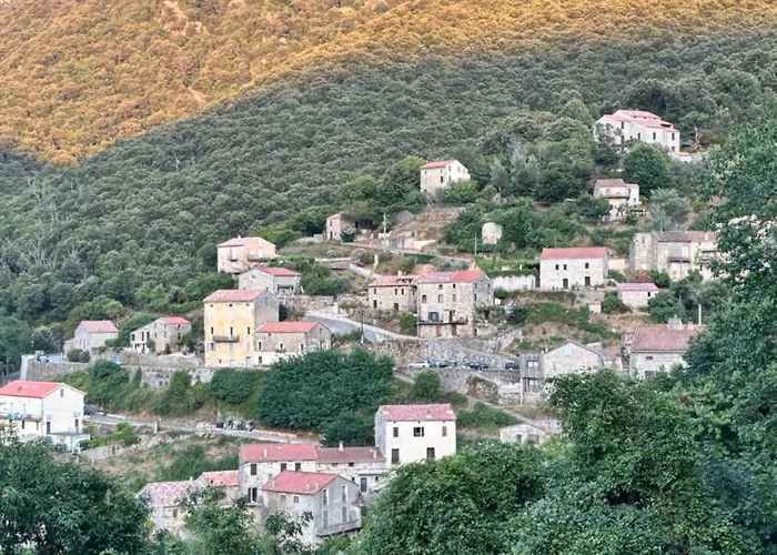 Casa Arena Authentique Maison De Village Avec Piscine Au Coeur De L'alta Rocca - Zoza